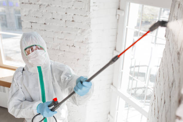Best Real Estate Mold Inspection  in Angustura, NM