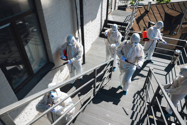 Best Commercial Mold Inspection  in Angustura, NM