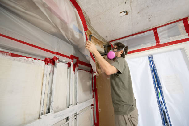 Best Residential Mold Inspection & Testing  in Angustura, NM