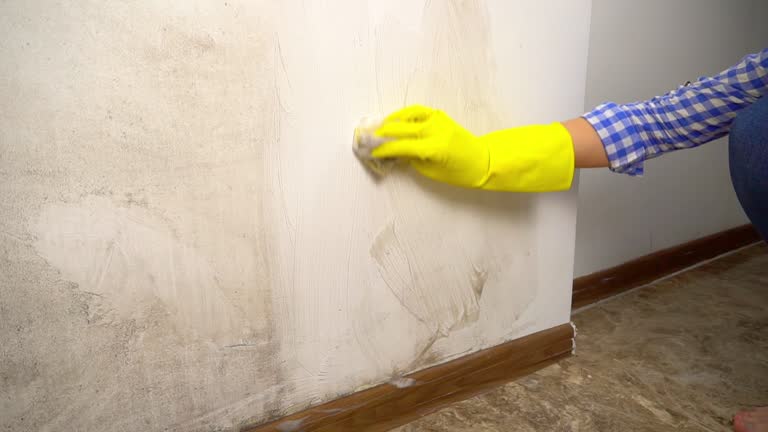 Best Indoor Air Quality Assessment  in Angustura, NM