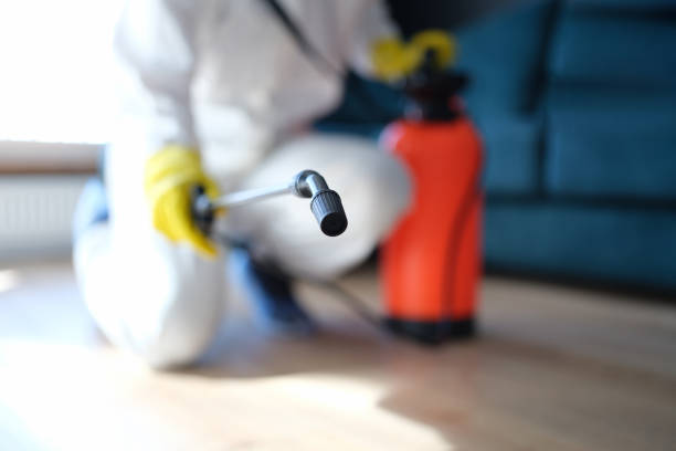 Best Dehumidification Services  in Angustura, NM