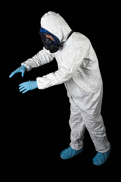 Best Environmental Consulting for Mold Prevention  in Angustura, NM