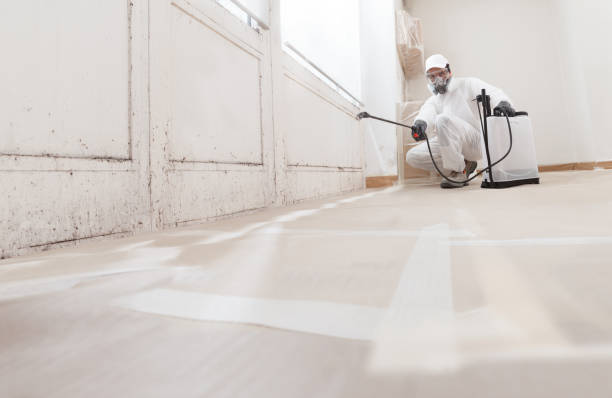 Best Post-Construction Mold Inspection  in Angustura, NM